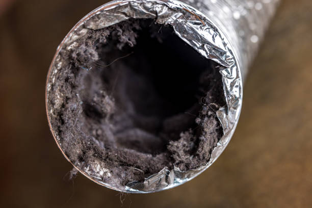 Best Local Air Duct Cleaning Services  in West Union, OH