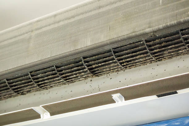 Best HVAC Maintenance and Cleaning  in West Union, OH