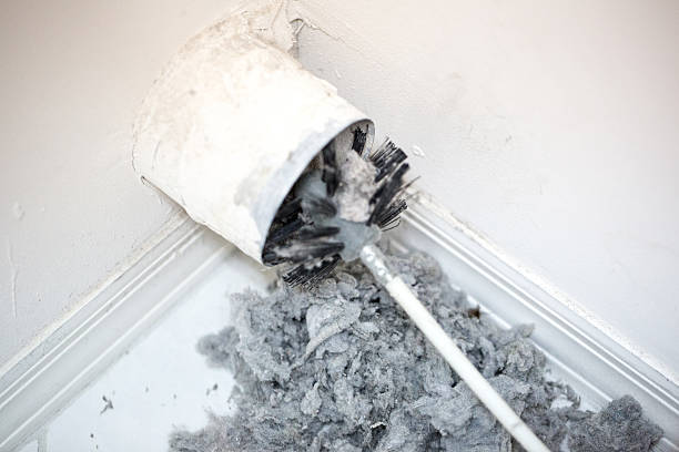 Best Ventilation Cleaning Services  in West Union, OH